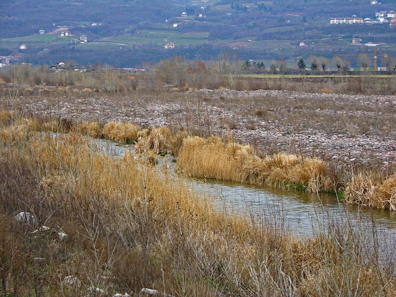 Lungo l''Avisio.